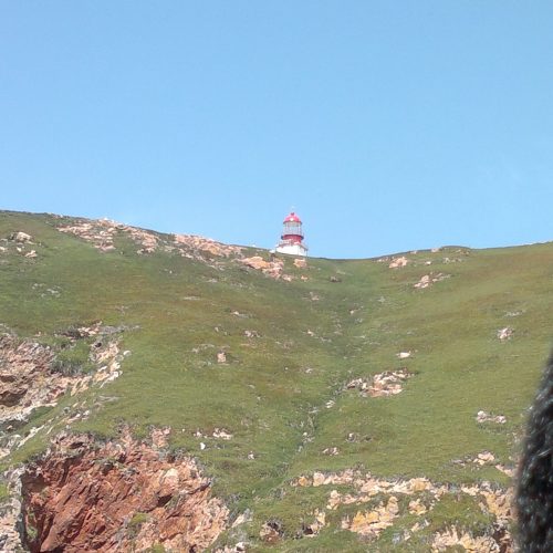 berlengas_16