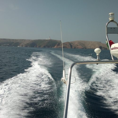 berlengas_21