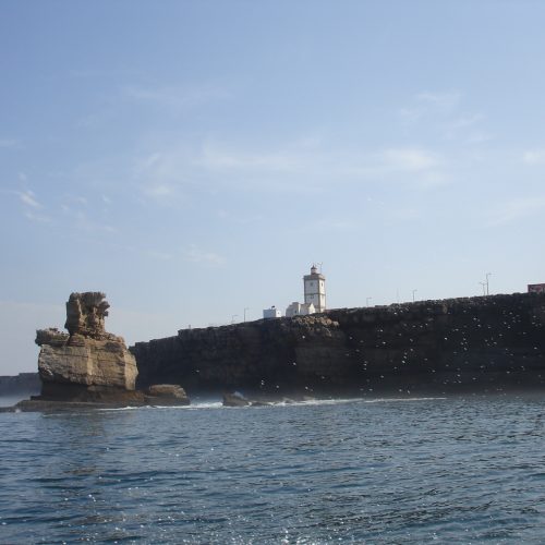 berlengas_8